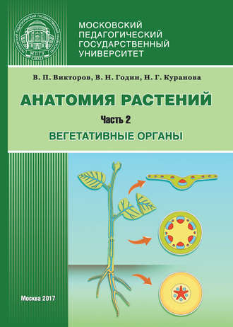 Наталия Куранова. Анатомия растений. Часть 2. Вегетативные органы