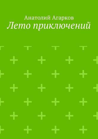 Анатолий Агарков. Лето приключений. Настоящий друг не позволит тебе совершать глупости в одиночку