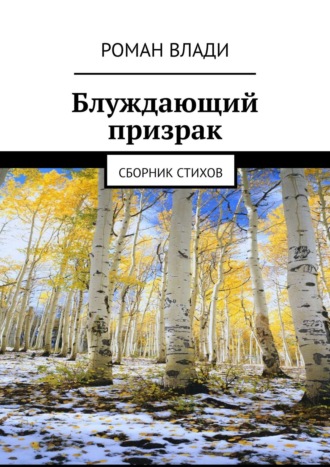 Роман Владимирович Токарев. Блуждающий призрак. Сборник стихов