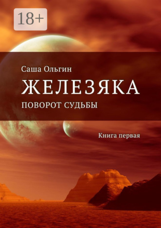 Железяка. Поворот судьбы. Книга первая. 