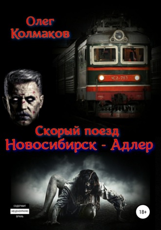 Олег Колмаков. Скорый поезд «Новосибирск – Адлер»