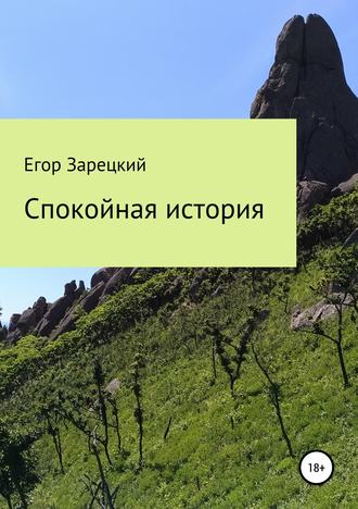 Егор Сергеевич Зарецкий. Спокойная история