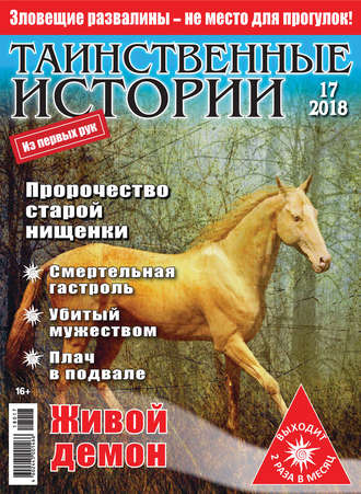 Таинственные истории №17/2018. Группа авторов