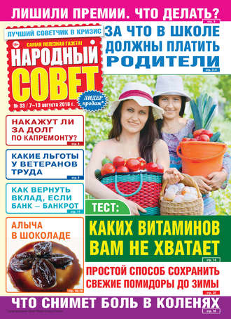 Народный совет №33/2018. Группа авторов