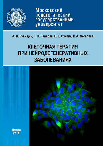 Клеточная терапия при нейродегенеративных заболеваниях. Г. В. Павлова