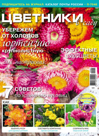 Группа авторов. Цветники в саду №01/2019