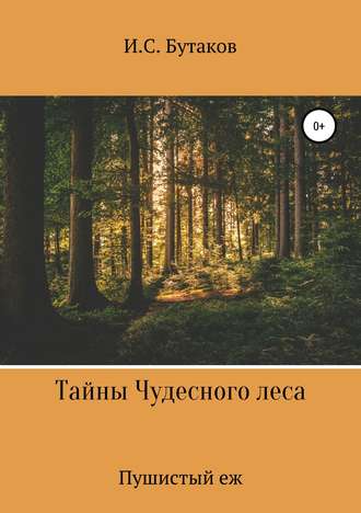 Иван Бутаков. Тайны Чудесного леса. Пушистый ёж