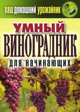 Е. В. Животовская. Умный виноградник для начинающих