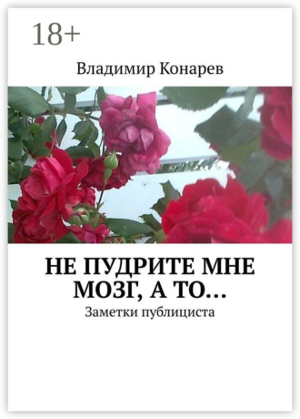 Не пудрите мне мозг, а то… Заметки публициста. Владимир Иванович Конарев