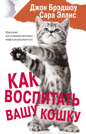 Как воспитать вашу кошку. Сара Эллис