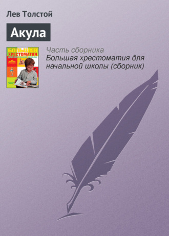Акула. 