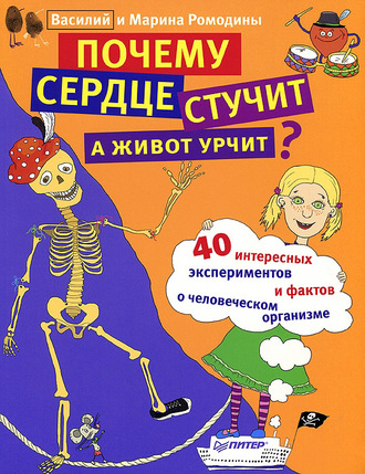 Почему сердце стучит, а живот урчит?. Василий Ромодин