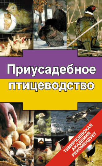 Приусадебное птицеводство. Э. И. Бондарев