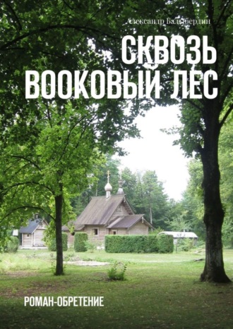 Александр Геннадьевич Балыбердин. Сквозь Bookовый лес. Роман-обретение