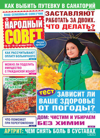 Народный совет №43/2018. Группа авторов