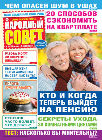 Народный совет №45/2018. Группа авторов