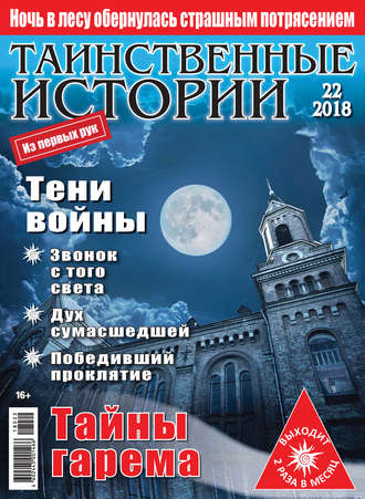 Таинственные истории №22/2018. Группа авторов