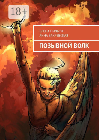 Позывной Волк. 