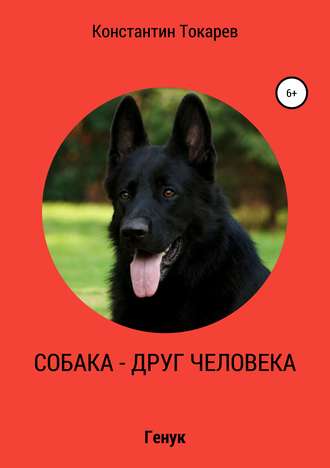 Константин Александрович Токарев. Собака – друг человека