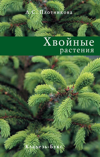 Л. С. Плотникова. Хвойные растения