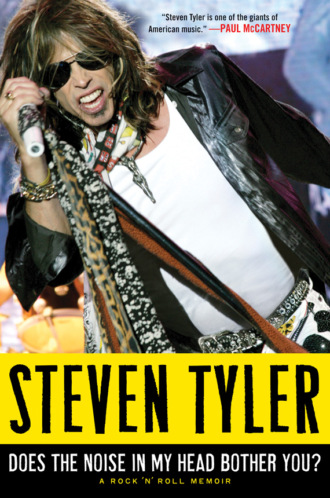 Steven  Tyler. Does the Noise in My Head Bother You?: The Autobiography