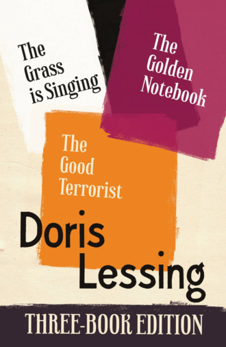 Дорис Лессинг. Doris Lessing Three-Book Edition: The Golden Notebook, The Grass is Singing, The Good Terrorist