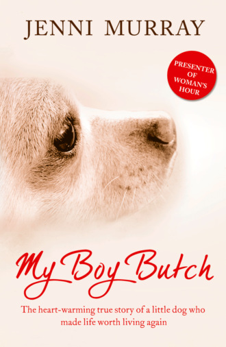 Jenni  Murray. My Boy Butch: The heart-warming true story of a little dog who made life worth living again