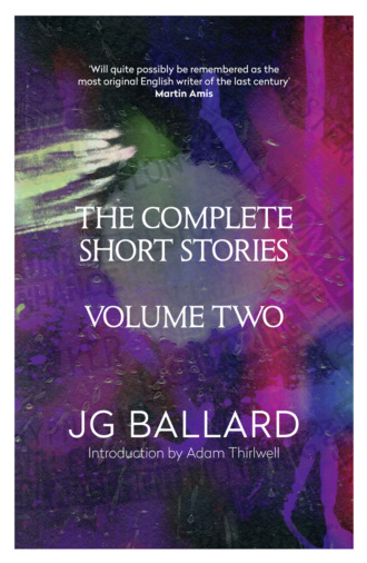 The Complete Short Stories: Volume 2. Adam  Thirlwell
