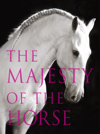 Tamsin  Pickeral. The Majesty of the Horse: An Illustrated History
