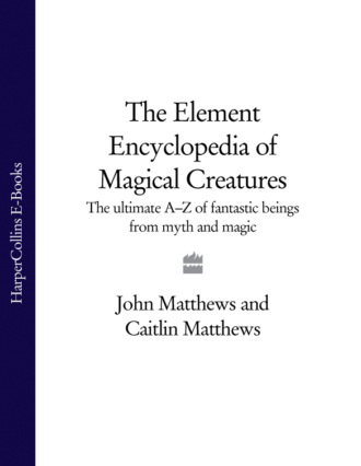 The Element Encyclopedia of Magical Creatures: The Ultimate A–Z of Fantastic Beings from Myth and Magic. John  Matthews