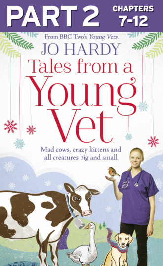 Jo  Hardy. Tales from a Young Vet: Part 2 of 3: Mad cows, crazy kittens, and all creatures big and small