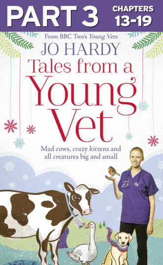 Jo  Hardy. Tales from a Young Vet: Part 3 of 3: Mad cows, crazy kittens, and all creatures big and small