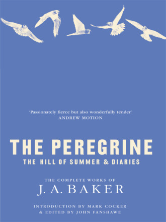 Mark  Cocker. The Peregrine: The Hill of Summer & Diaries: The Complete Works of J. A. Baker