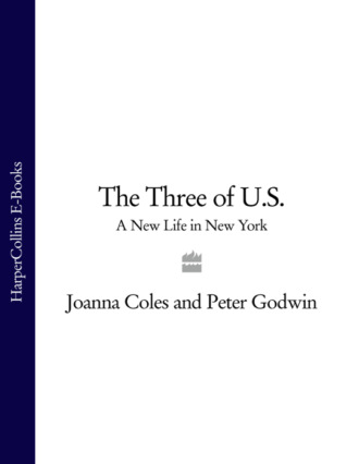 Peter  Godwin. The Three of U.S.: A New Life in New York