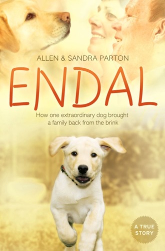 Sandra Parton. Endal: How one extraordinary dog brought a family back from the brink