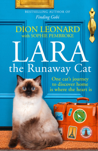 Sophie  Pembroke. Lara The Runaway Cat: One cat’s journey to discover home is where the heart is