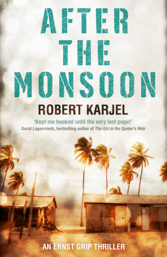 Robert  Karjel. After the Monsoon: An unputdownable thriller that will get your pulse racing!