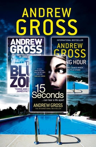 Andrew  Gross. Andrew Gross 3-Book Thriller Collection 2: 15 Seconds, Killing Hour, The Blue Zone