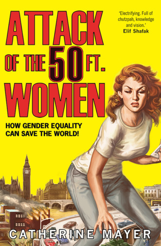 Catherine  Mayer. Attack of the 50 Ft. Women: How Gender Equality Can Save The World!