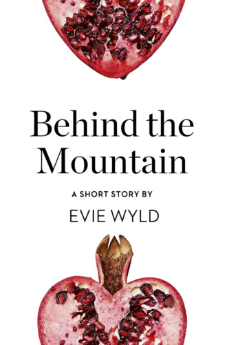 Evie  Wyld. Behind the Mountain: A Short Story from the collection, Reader, I Married Him