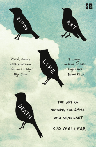 Кио Маклир. Birds Art Life Death: The Art of Noticing the Small and Significant