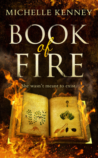Michelle  Kenney. Book of Fire: a debut fantasy perfect for fans of The Hunger Games, Divergent and The Maze Runner