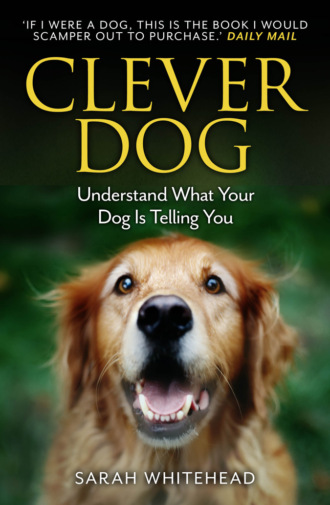 Sarah  Whitehead. Clever Dog: Understand What Your Dog is Telling You