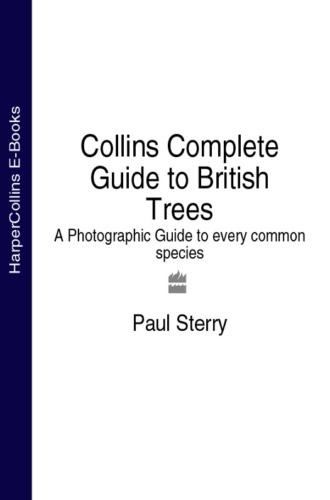 Paul  Sterry. Collins Complete Guide to British Trees: A Photographic Guide to every common species