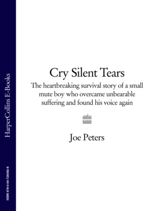 Joe  Peters. Cry Silent Tears: The heartbreaking survival story of a small mute boy who overcame unbearable suffering and found his voice again