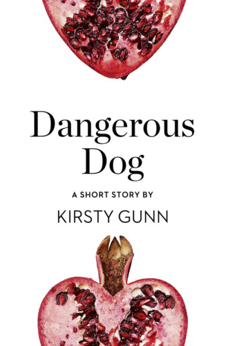 Kirsty  Gunn. Dangerous Dog: A Short Story from the collection, Reader, I Married Him