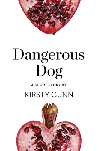 Dangerous Dog: A Short Story from the collection, Reader, I Married Him. Kirsty  Gunn