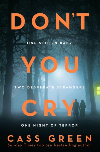 Cass  Green. Don’t You Cry: The gripping new psychological thriller from the bestselling author of In a Cottage in a Wood