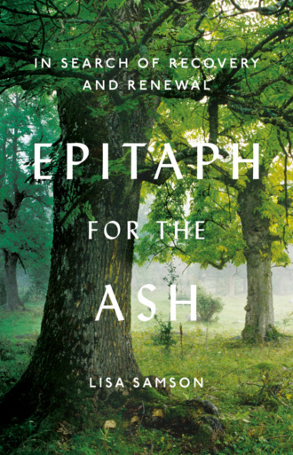 Lisa  Samson. Epitaph for the Ash: In Search of Recovery and Renewal