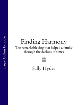 Sally Hyder. Finding Harmony: The remarkable dog that helped a family through the darkest of times